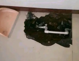 吐鲁番卫生间测漏水多少钱